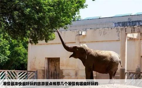 暑假最凉快最好玩的旅游景点推荐几个暑假有哪些好玩的