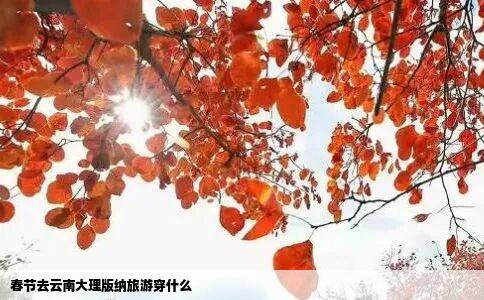 春节去云南大理版纳旅游穿什么