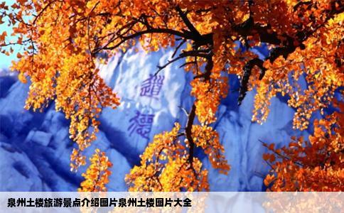 泉州土楼旅游景点介绍图片泉州土楼图片大全